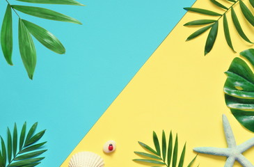 Tropical Background. Palm Trees Branches with starfish and seash