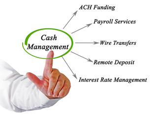 Components of cash Management.