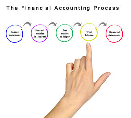 Financial Accounting Process