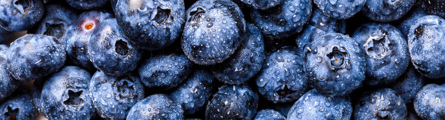 Surface is covered with a thick layer of blueberries. Natural background. Concept Healthy Food....