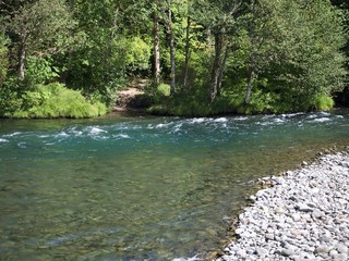 The rushing waters of the McKenzie River in Oregon’s Willamette National Forest on a sunny summer day 