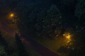 Fototapeta premium Foggy night, street lamp