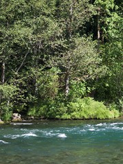 The rushing waters of the McKenzie River in Oregon’s Willamette National Forest on a sunny summer day 