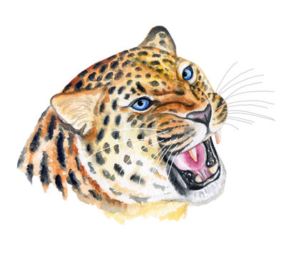 Leopard. Portrait of a wild cat. Aggressive leopard. Watercolor. Illustration. Template. Close-up.