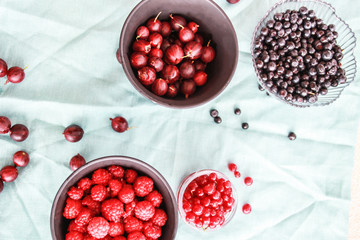Flatlay with raspberries, blueberries and gooseberries.