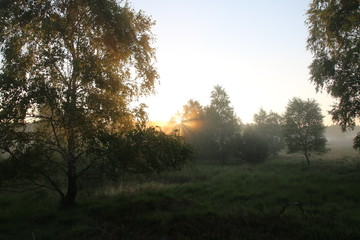 Sonnenaufgang im Morgennebel in der Lüneburger Heide
