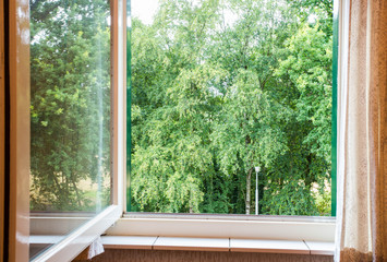 nature landscape with a view through a window with green trees - Powered by Adobe