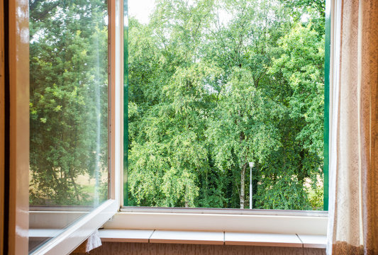 Nature Landscape With A View Through A Window With Green Trees