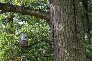 Birdhouse hanging on a tree.