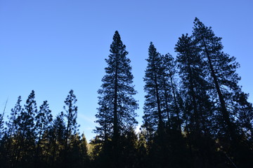 Tahoe