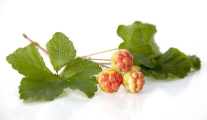 Berries cloudberries on a white background
