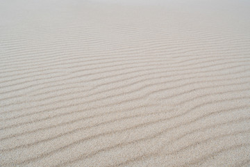 Obraz premium sandy beach for background use