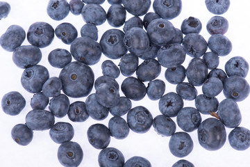 Heidelbeeren isoliert auf weißem Hintergrund