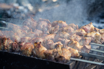shish kebab on the grill, barbecue