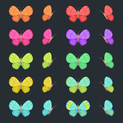 Colored butterflies isolated on dark background. Flat butterfly set.