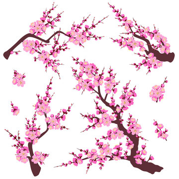 Plum Blossom Branches Set