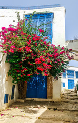 Totally blue and white city Sidi Bou Said, Tunisia