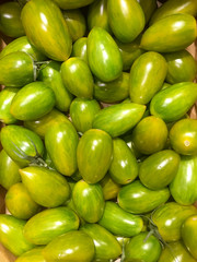 Bio Tomaten Green Tiger