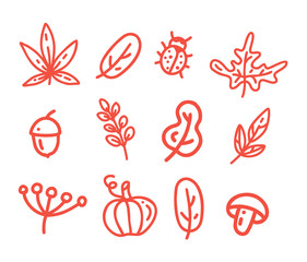 Autumn icon set with line art leaves, bug, pumpkin, oak and mushroom for your design.