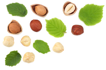 hazelnuts with leaves isolated on white background. top view