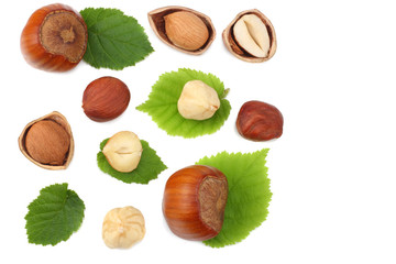 hazelnuts with leaves isolated on white background. top view