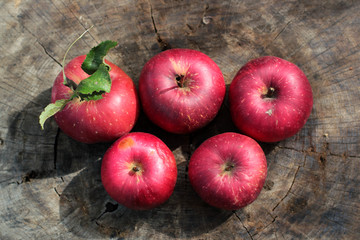 five Olympic apples on wooden background