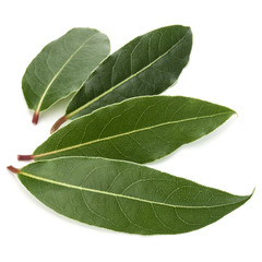 Aromatic bay leaves