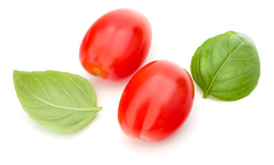 fresh plum tomato with basil leaf isolated on white background
