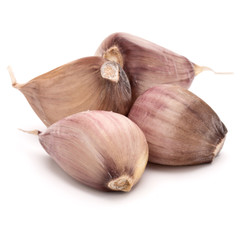 garlic cloves isolated on white background cutout