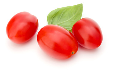 fresh plum tomato with basil leaf isolated on white background