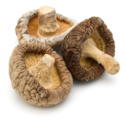 Dried Shiitake Mushroom isolated on white background
