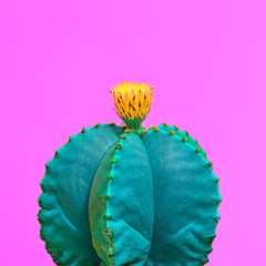 Green Cactus. Fashion Design. Minimal Stillife. Trendy tropical print. Surrealism. Pop Art