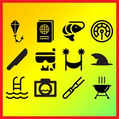 Meat, kite with ribbons and travelling passport related icons set