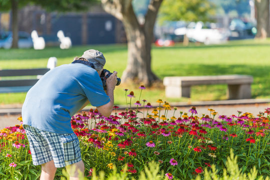 A man taking picture of flowers in a garden