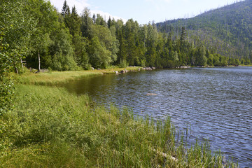 Plesne lake in Sumava national park (Bohemian Forest) in Czech republic