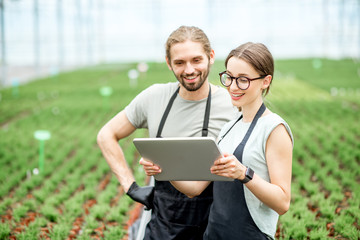 Couple of workers working with digital tablet supervising the growing of plants in the greenhouse...