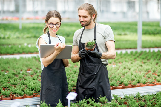 Couple of workers working with digital tablet supervising the growing of plants in the greenhouse of the plants production