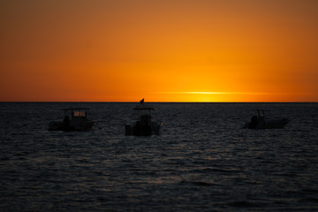 zachód słońca Ocean Indyjski - obrazy, fototapety, plakaty