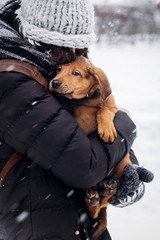 stylish hipster girl hugging and caressing cute puppy in snowy cold winter park. moments of true happiness. adoption concept. save animals