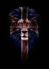 National animal of Great Britain. Portrait of a Beautiful lion, faceart and patriotism concept. Portrait of a leader, king. Portrait of a lion with a projection of the flag of great Britain. Patriot