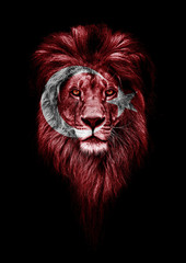 Portrait of a Beautiful lion, faceart and patriotism concept. Portrait of a leader. king. Portrait of a lion with a projection of the flag of the Turkey. Patriot of his country