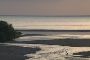 natura,bird,river,horizon,sea,seascape,landscape,panorama,natura,view,sunrise
