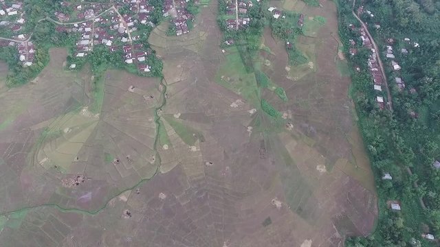 Cancar "The Spiderfield" is the unique rice field in the world | Aerial shot | Tilt reveal