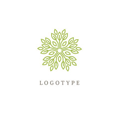 Obraz premium Vector floral luxury curve logo design. Green leaf ornate frame. Vintage premium design vector element.