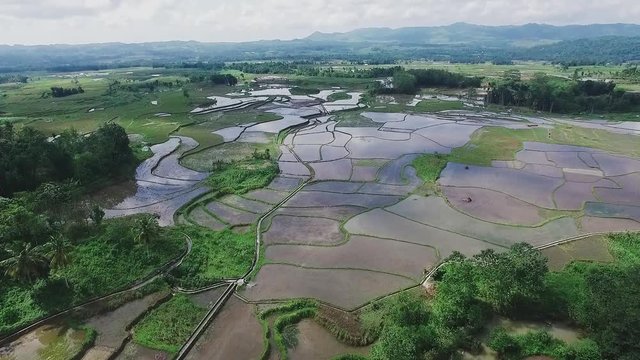 Beautiful landscape of rice fields | Aerial shot | Jib/crane