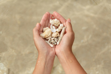 woman hands holding some pieces of coral in a sand beach background