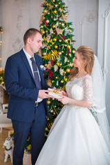 Newlyweds exchange gifts on eve of Christmas, on background of Christmas tree