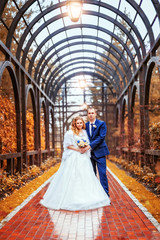 Wedding couple, walking along alley in park under arch, autumn