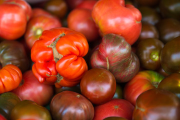 Crop of organically grown tomatoes for sale at farmers market