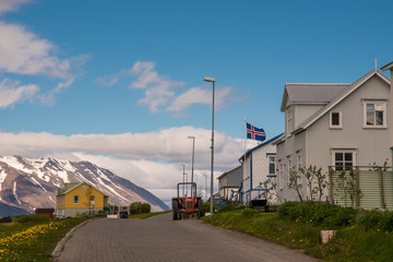Fototapeta na wymiar Village of Hrisey in Iceland